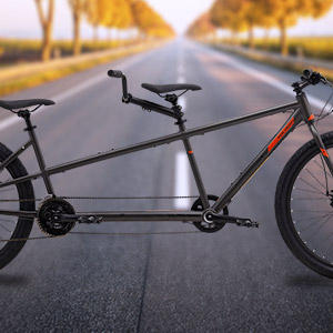 Hybrid cheap tandem bikes